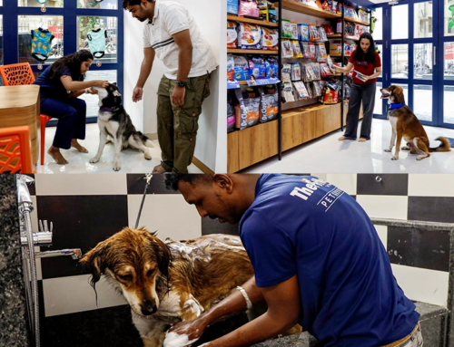 Kothrud’s latest all in one pet store: Grooming, Vet, Pet supplies