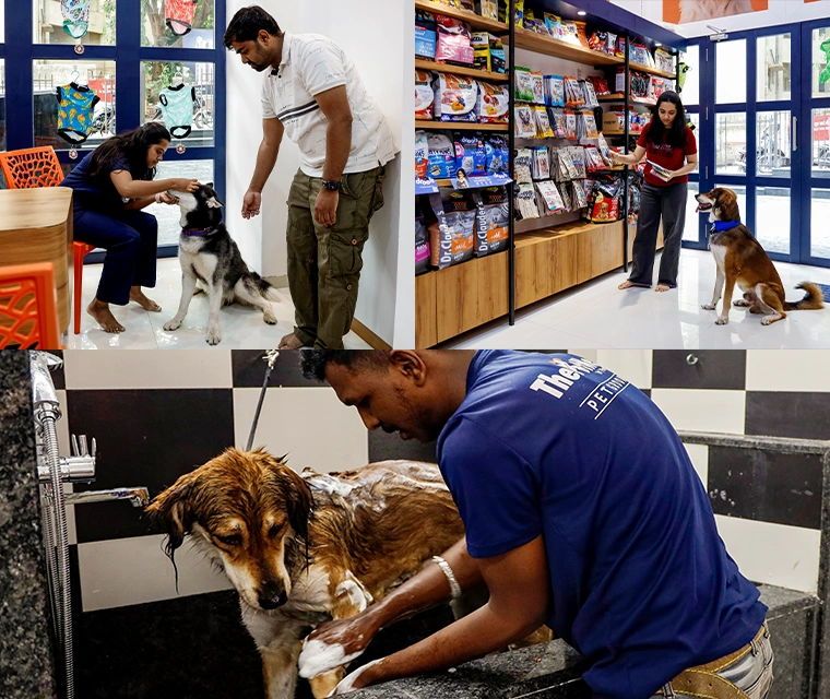 Kothrud’s latest one stop shop for pets: Grooming, Vet, pet supplies