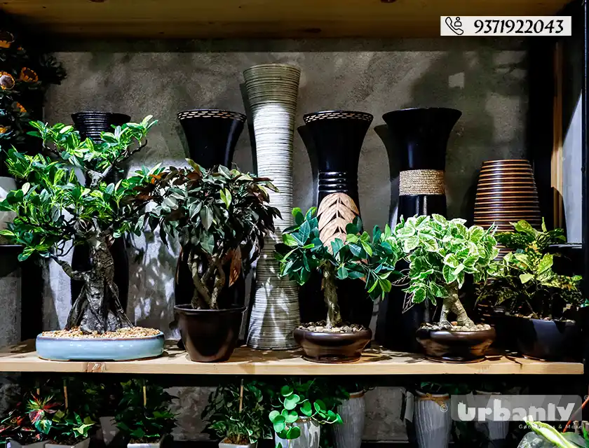 Find realistic artificial plants in Pune for any corner of your home!