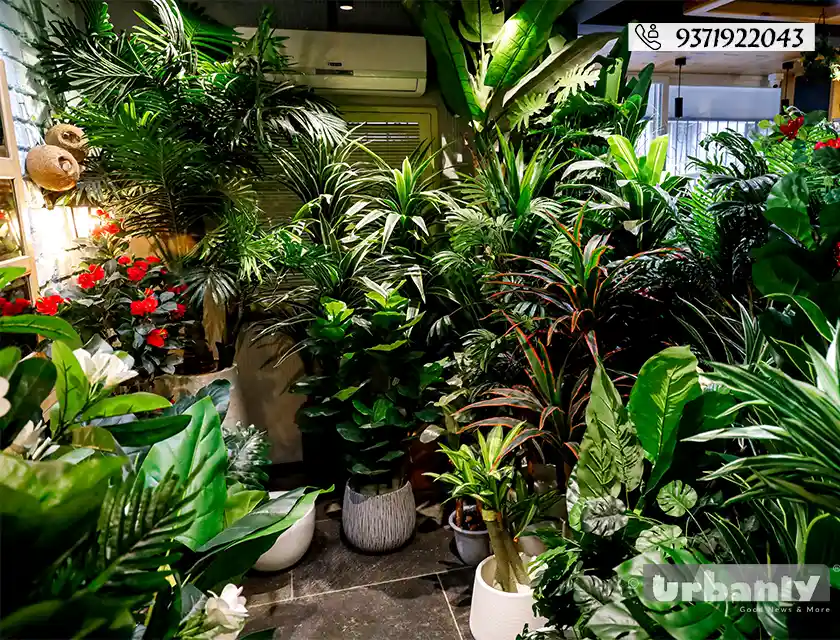 Find realistic artificial plants in Pune for any corner of your home!