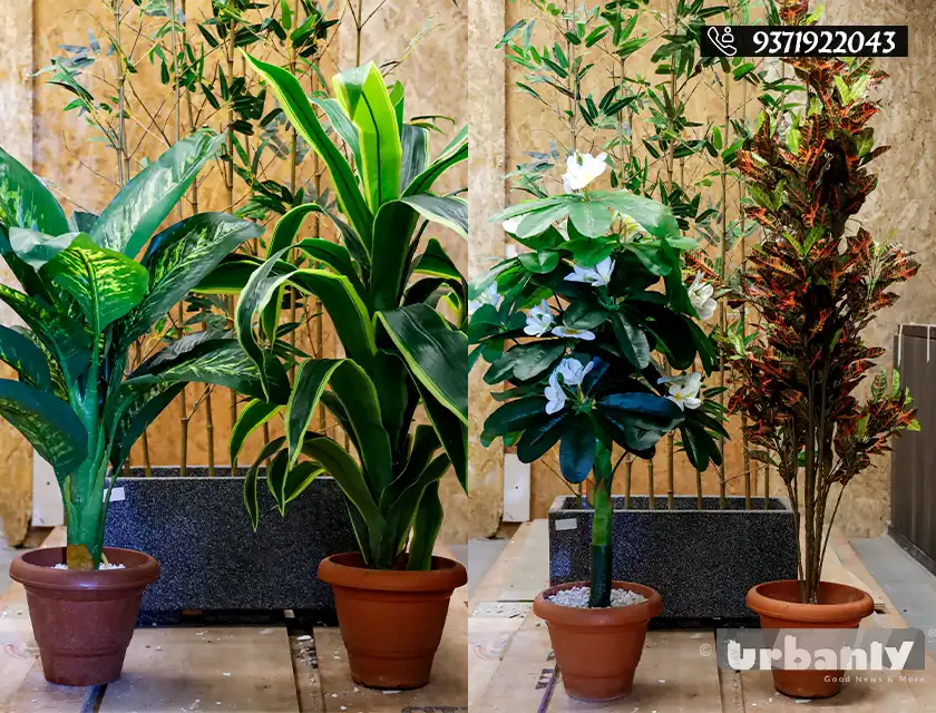 Find realistic artificial plants in Pune for any corner of your home!