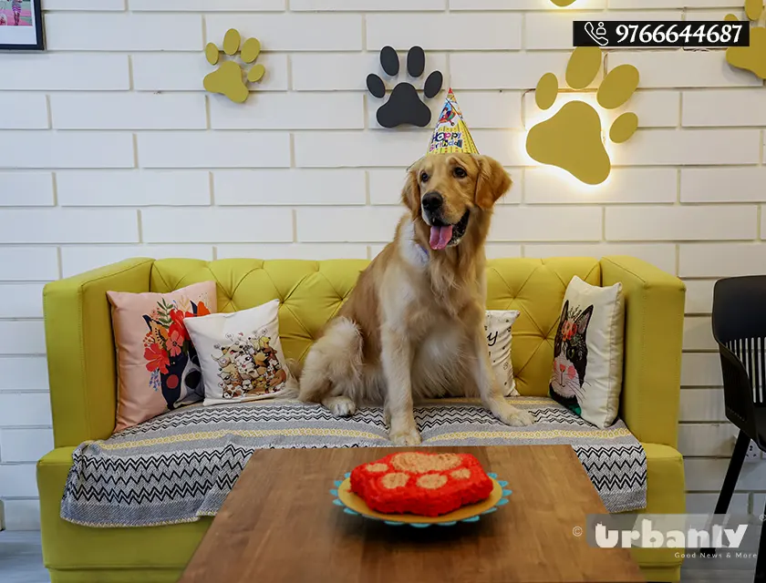 Pune's only cafe having a special birthday package for your pets!