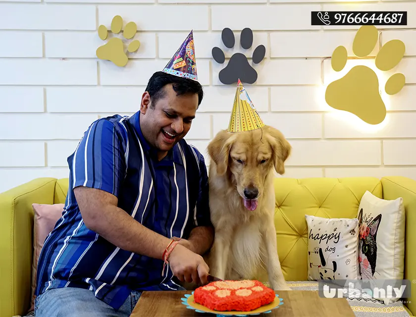 Pune's only cafe having a special birthday package for your pets!