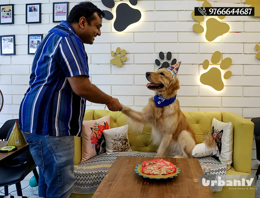 Pune's only cafe having a special birthday package for your pets!