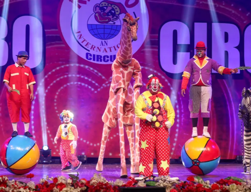 Rambo Circus is back in Pune this weekend @Phoenix Mall!