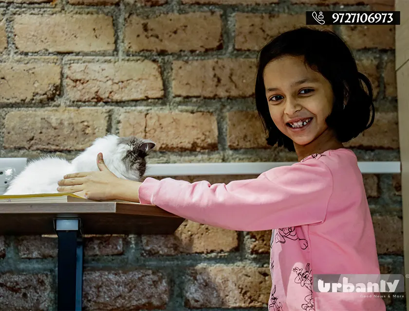 At this cafe on FC road, the cats let you enter their world.