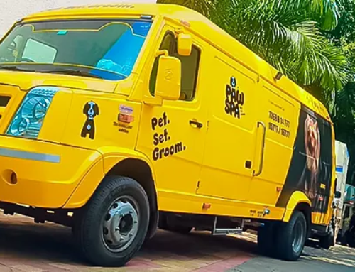 There’s a new pet spa in Pune operating from a mobile van!